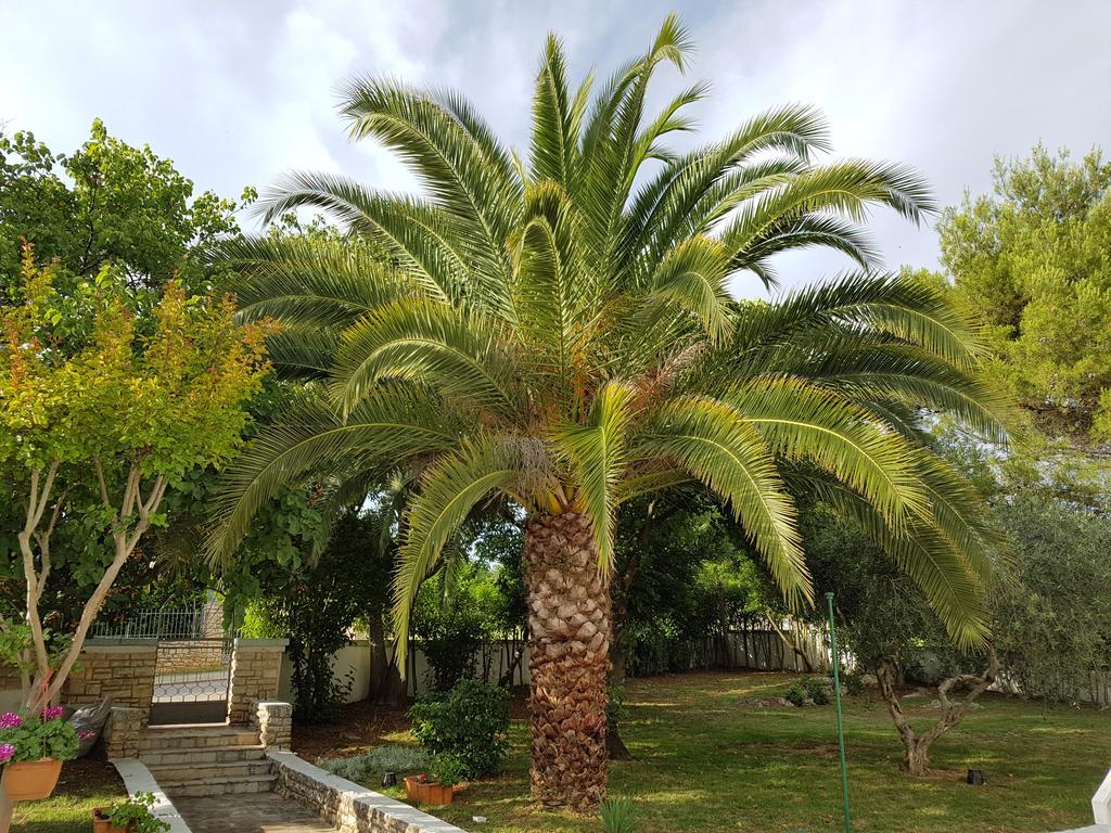 Villa Rosa With Yard And Children'S Playground Tar-Vabriga Exteriör bild