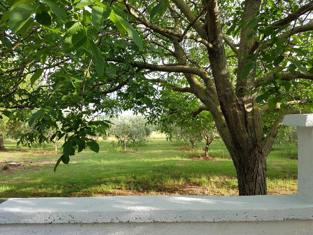 Villa Rosa With Yard And Children'S Playground Tar-Vabriga Exteriör bild