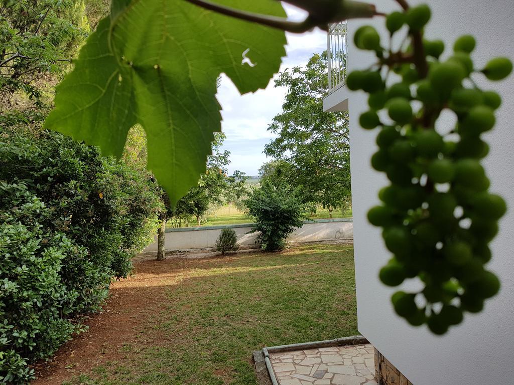 Villa Rosa With Yard And Children'S Playground Tar-Vabriga Exteriör bild