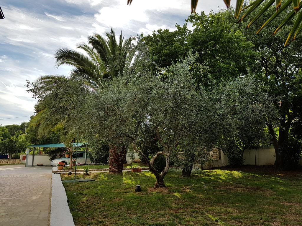 Villa Rosa With Yard And Children'S Playground Tar-Vabriga Exteriör bild